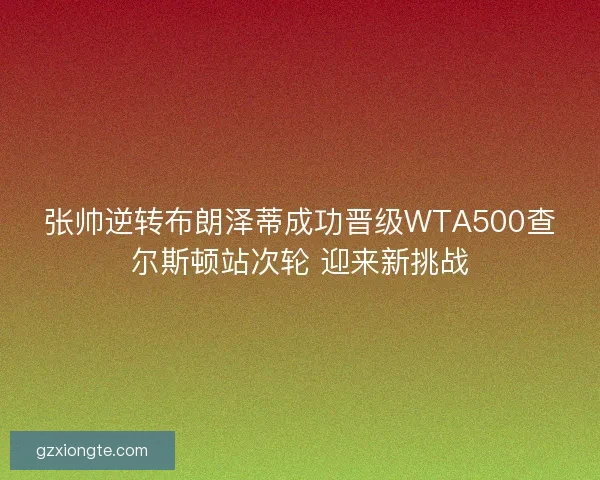 张帅逆转布朗泽蒂成功晋级WTA500查尔斯顿站次轮 迎来新挑战