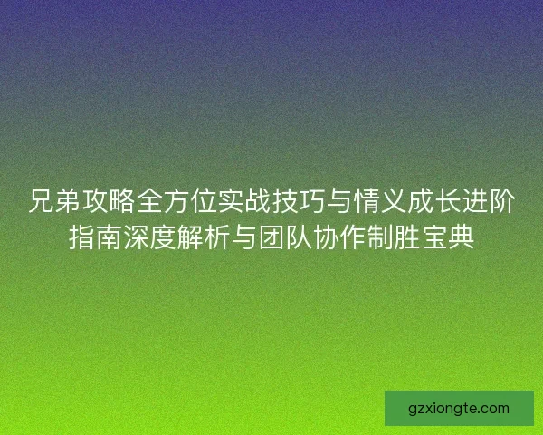 兄弟攻略全方位实战技巧与情义成长进阶指南深度解析与团队协作制胜宝典