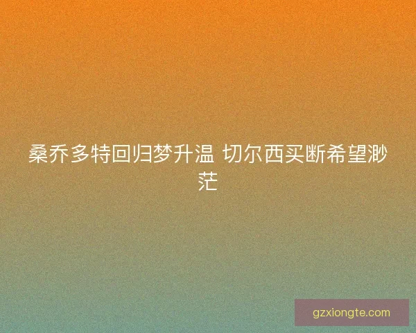 桑乔多特回归梦升温 切尔西买断希望渺茫