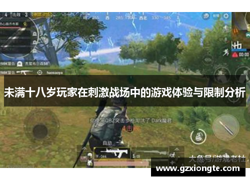 未满十八岁玩家在刺激战场中的游戏体验与限制分析